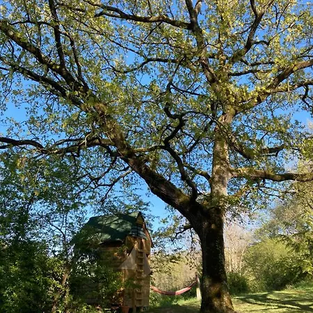 Bivouac Avec Echelle A L'ombre Des Chenes Campingplatz Idrac-Respailles
