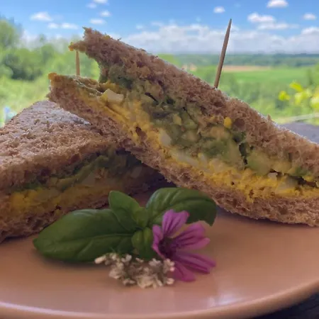 캠프장 Bivouac Avec Echelle A L'ombre Des Chenes