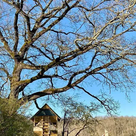 Bivouac Avec Echelle A L'ombre Des Chenes Idrac-Respailles