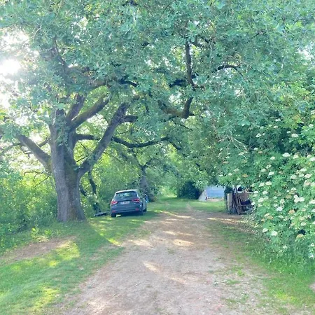 Bivouac Avec Echelle A L'ombre Des Chenes Camping *